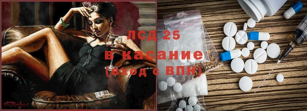 стаф Аркадак