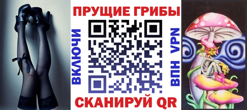 где найти   Пестово  блэк спрут ССЫЛКА  Галлюциногенные грибы Psilocybe 