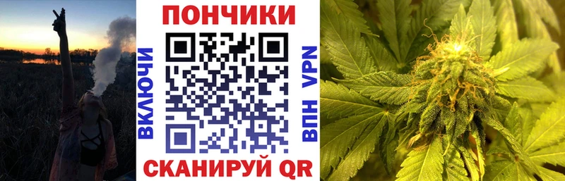 хочу   Пестово  Бошки марихуана Amnesia 